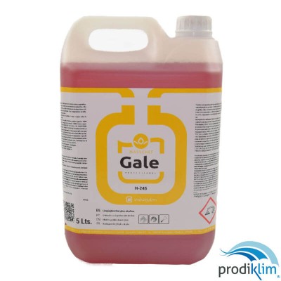H-245 GALE (5L) LIMPIA PLANCHAS PLUS ROJO