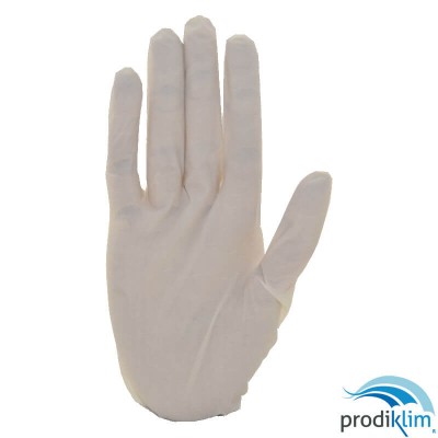 GUANTE LATEX CON POLVO T/G (100UDS) CTG