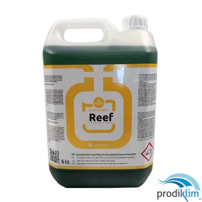 REEF DESENGRASANTE SUPERF POROSAS (5L) LQ