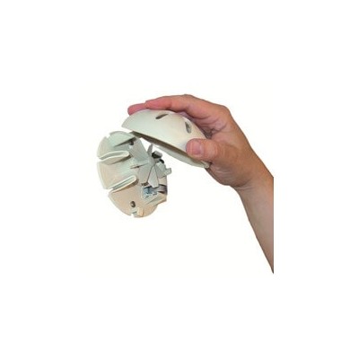 RECAMBIO INTENSITY SPICEDD APPLE MORADO